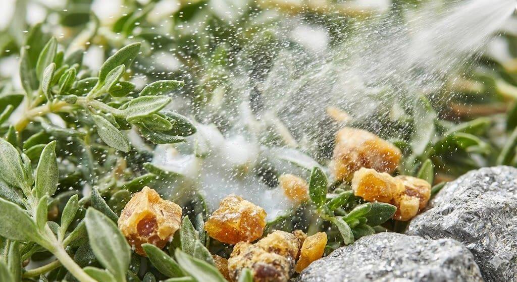 AUREVA Natural Ingredients